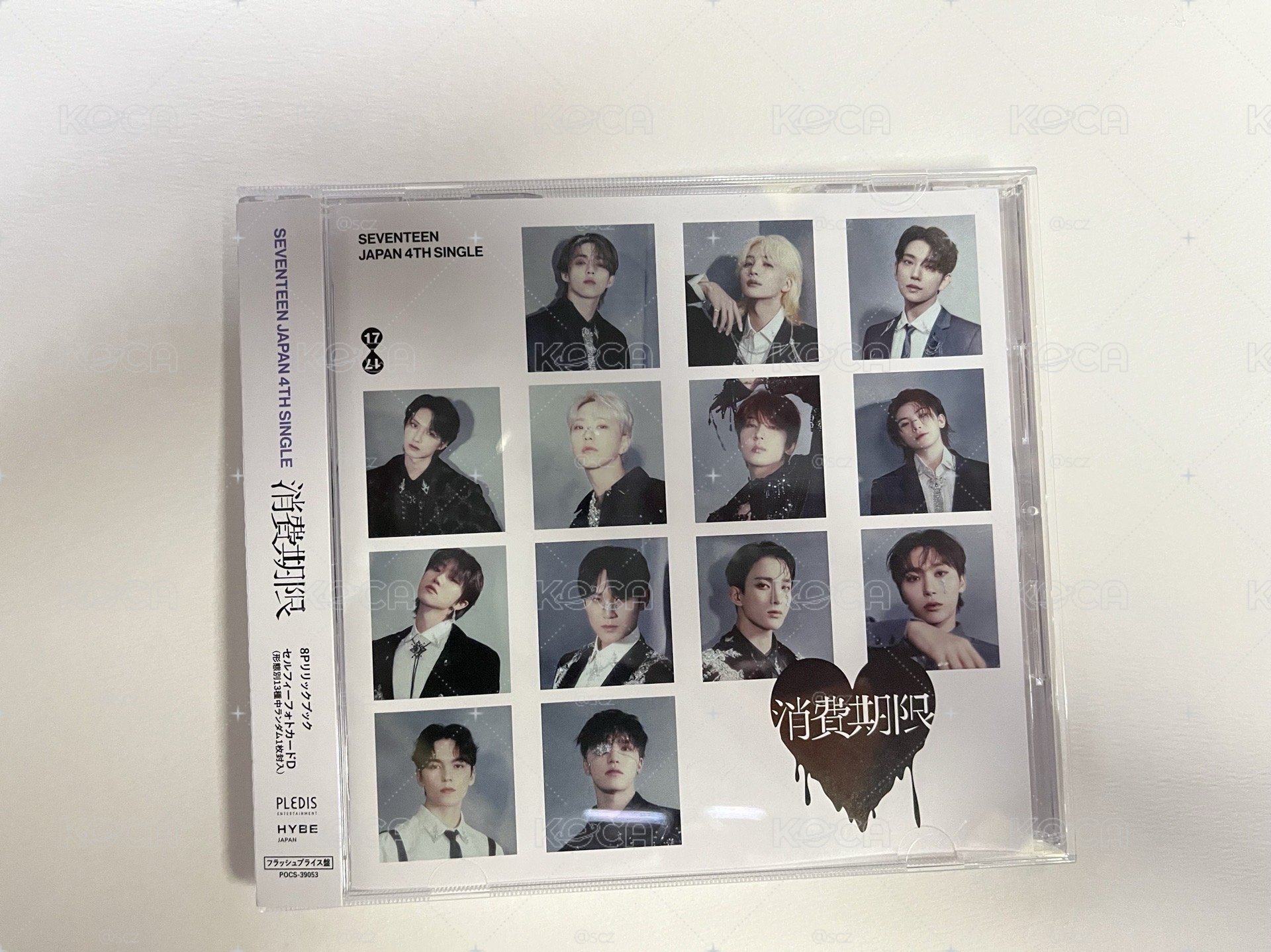 💎SEVENTEEN 空專