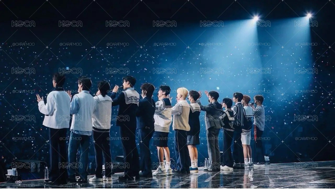 SEVENTEEN團卡們📆