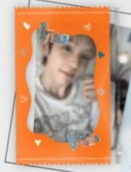 D社寫真 卡套 (組) 