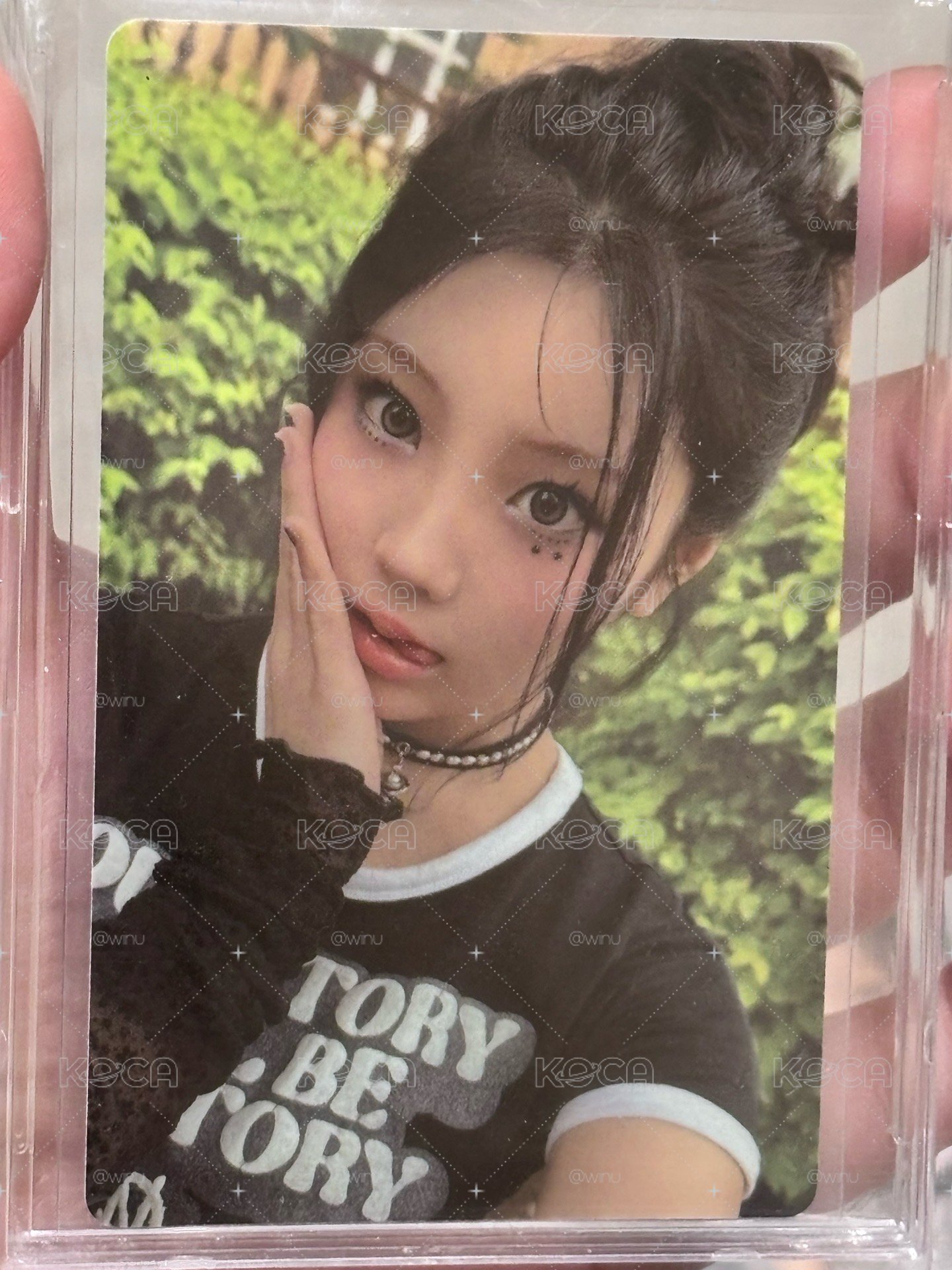 wonhee 