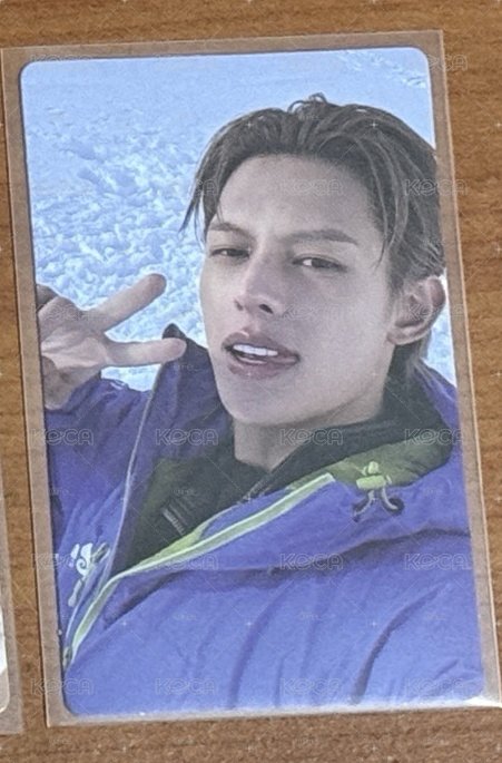 雪地凡卡