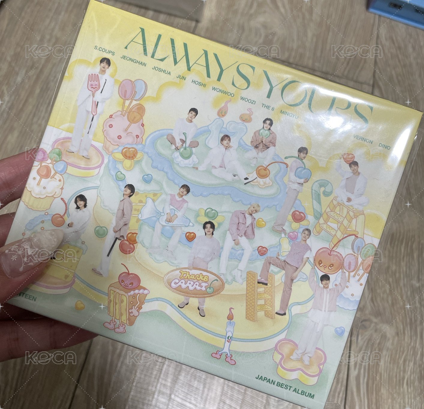 c盤