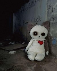 加菲