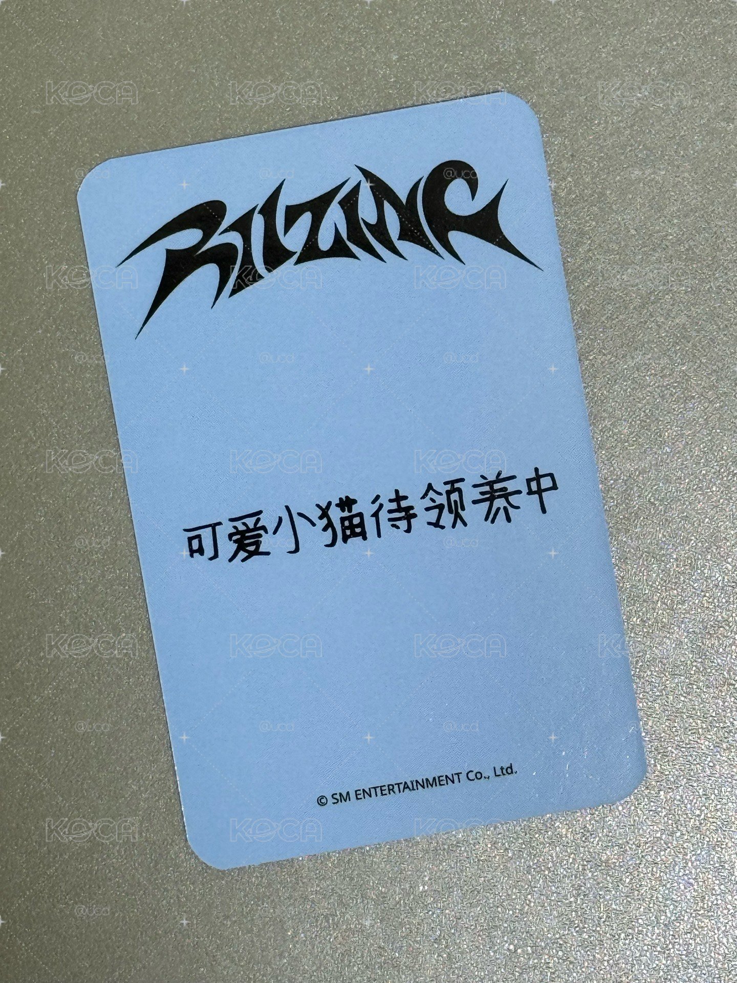 RIIZING sr 特典卡 可愛小貓待領養中🤲
