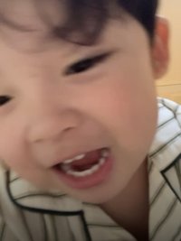 PP