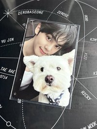 正規一奎彬小狗卡（兩隻小狗合照）