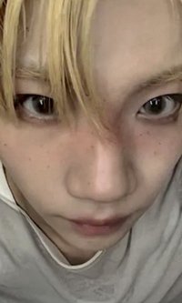 blackout 卡包專 專輯卡 