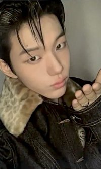 blackout 卡包專 專輯卡 