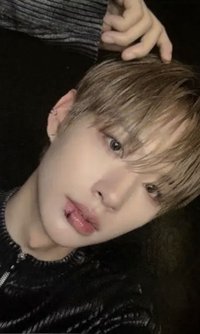 blackout 卡包專 專輯卡 