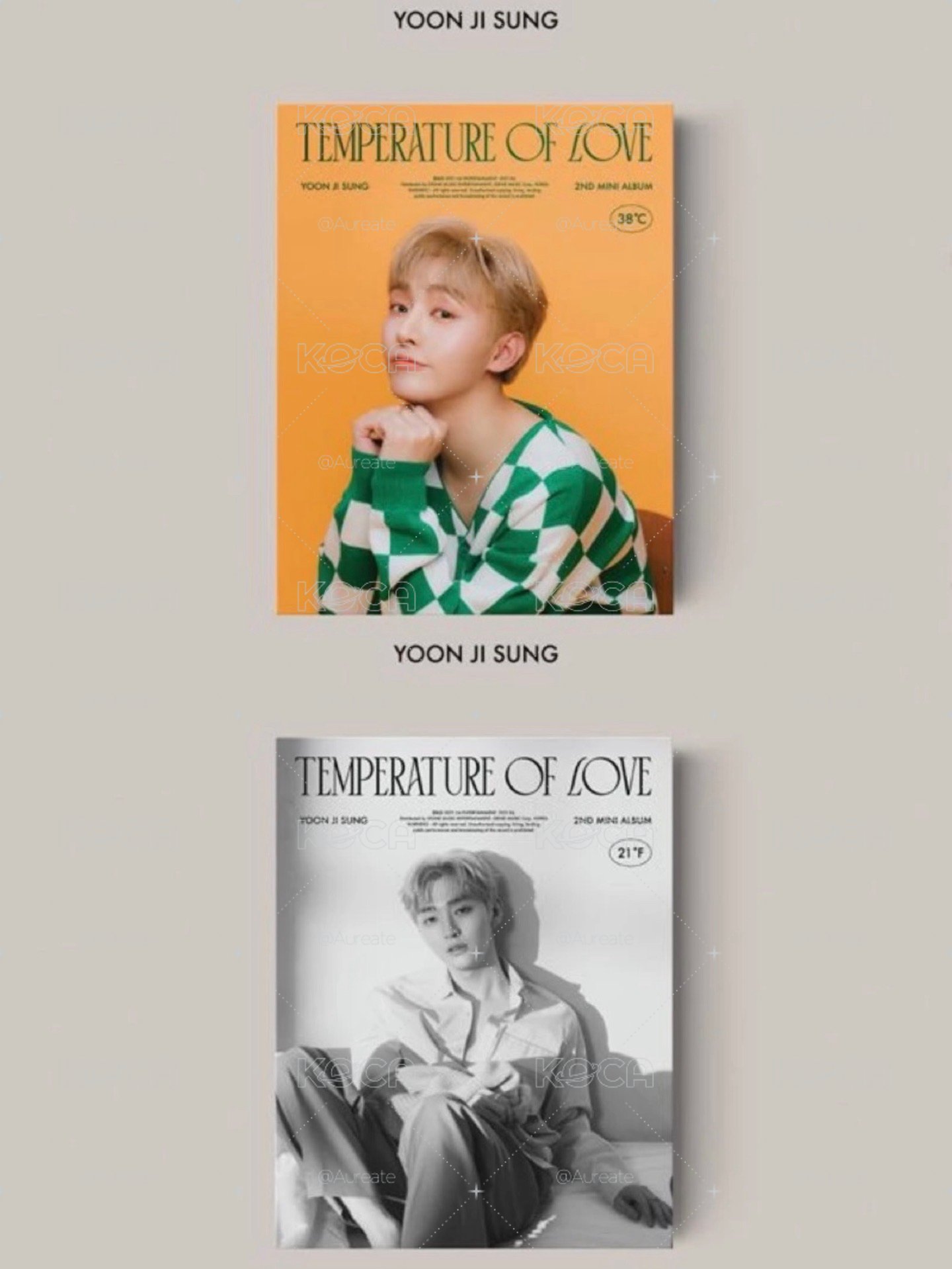 🐧 temperature of love 空專