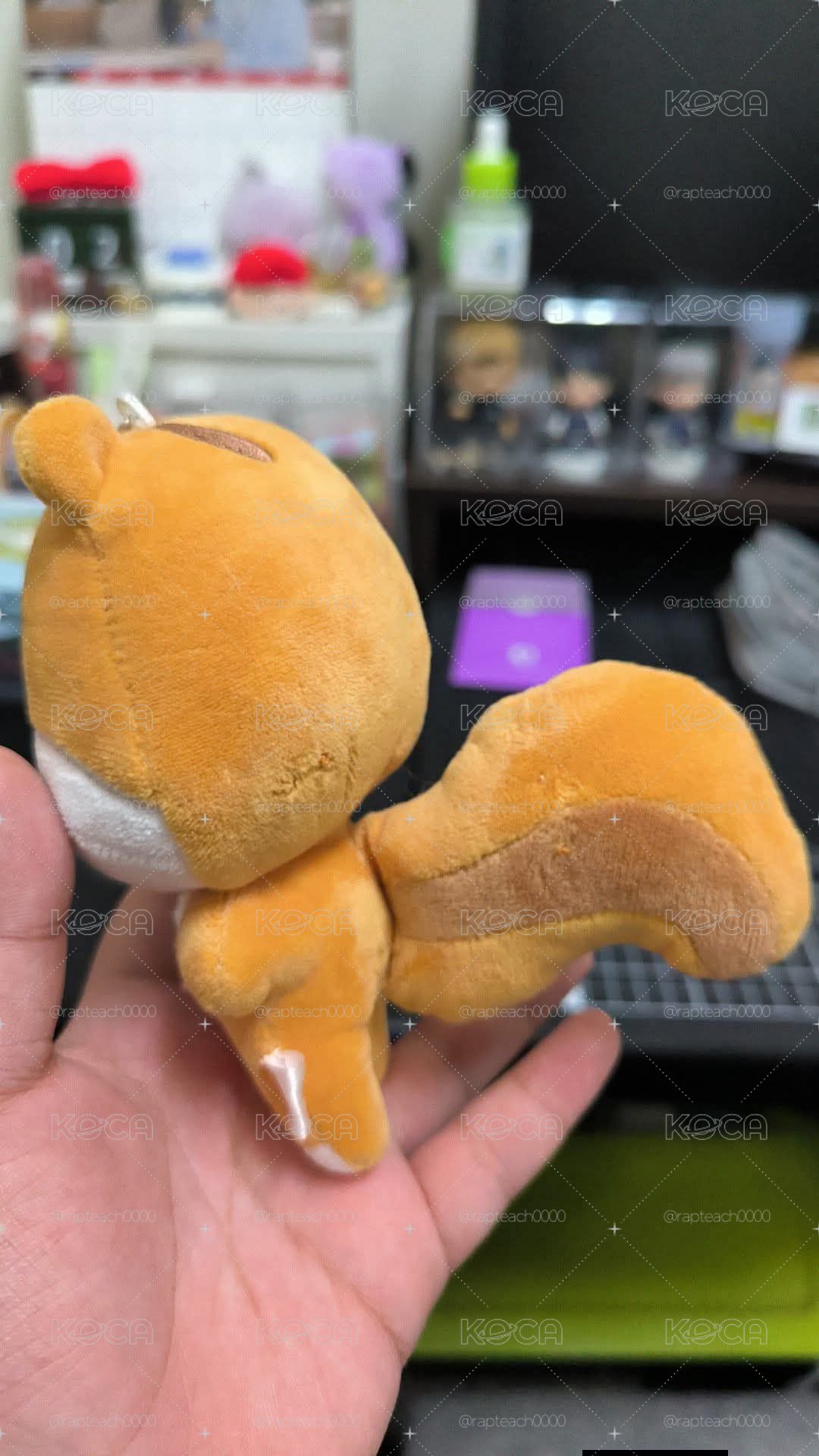 中拉米
