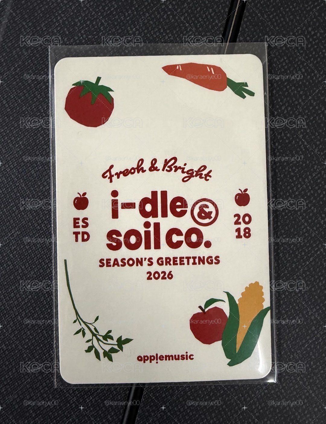I-dle 薇娟 Miyeon 2026 年曆 AM特典