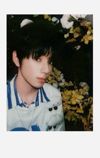 突圍小卡 周邊卡 櫓突圍R卡