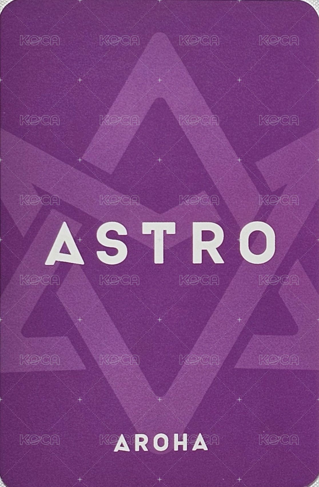 演唱會 周邊卡 手燈卡 背面