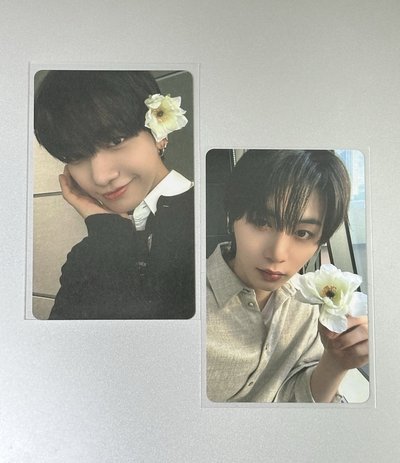 The action wvs 特典