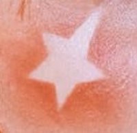 ᯓ★(下單注意事項&通路進度請見主頁)