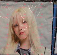 琦手幅（全新未拆）