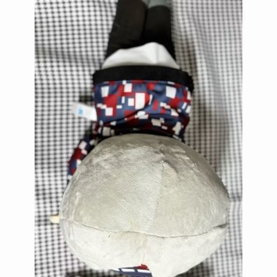 【現貨】BTS SEGA 金泰亨 大娃 V 趴趴娃 TinyTAN 日本 景品 夾娃娃機 娃娃