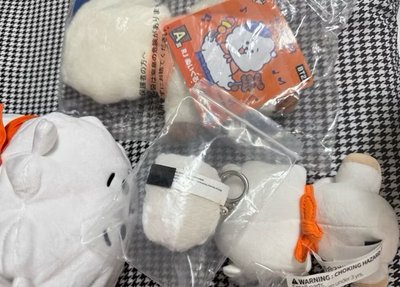 (整圖出）BTS 防彈少年團 日本限定 RJ 娃娃 套組 吊飾 鑰匙扣 金碩珍 JIN