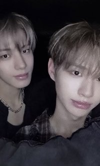 blackout 卡包專 專輯卡 雙人卡