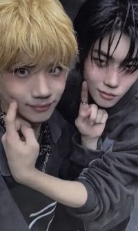 blackout 卡包專 專輯卡 雙人卡