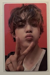 正規五 wvs特典 哲