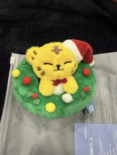 [聖誕MINITEEN] 花圈碩 花圈榮 炸毛小狗DOA/TAMTAM