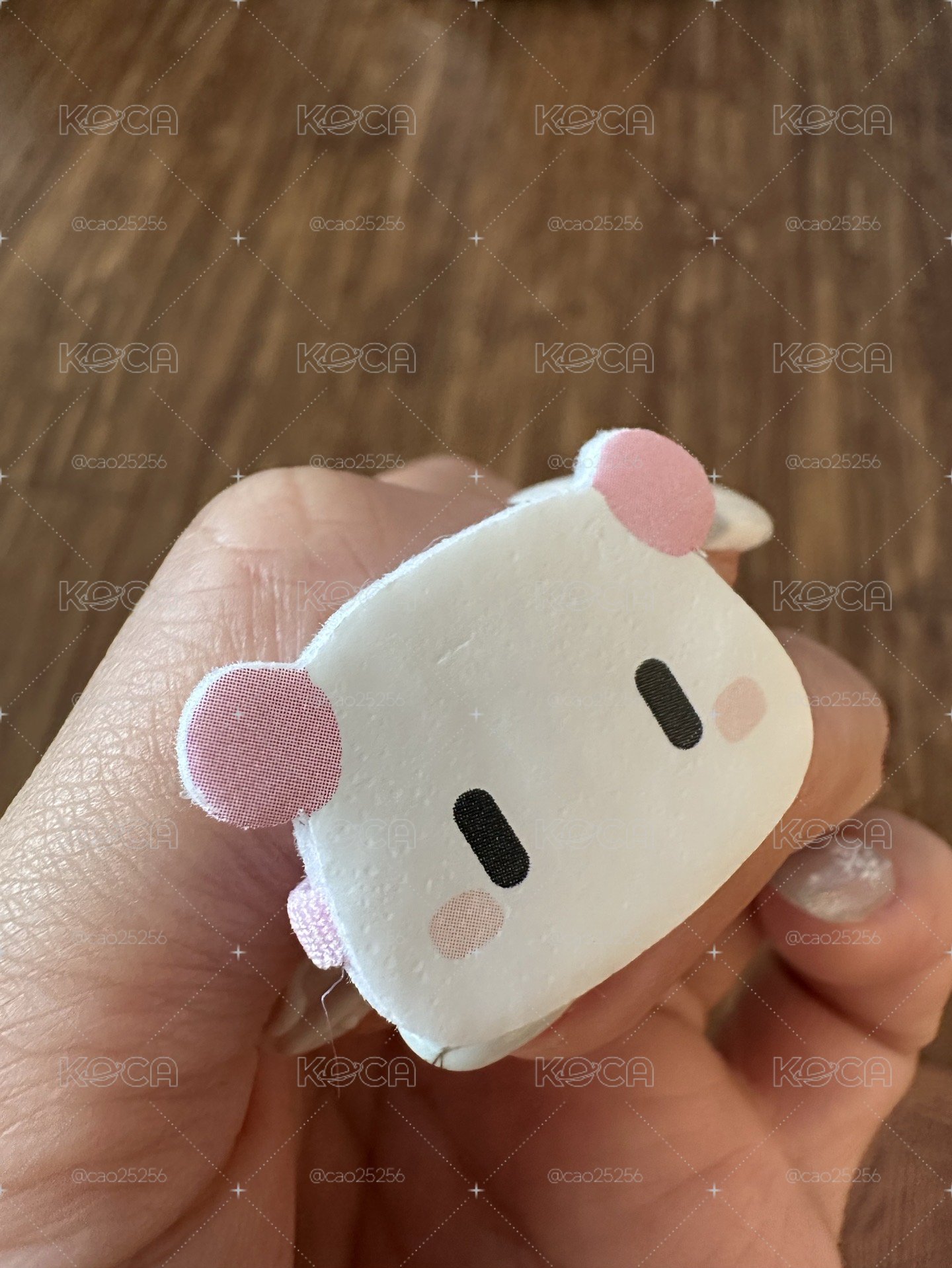 PLAVE周邊