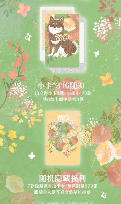 【TNT】大連冠軍 耀文全套/無卡全套