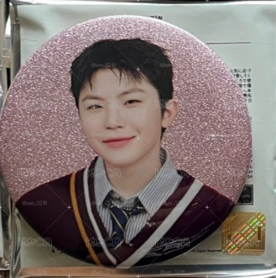 seventeen home/holiday/new/cafe 徽章們
