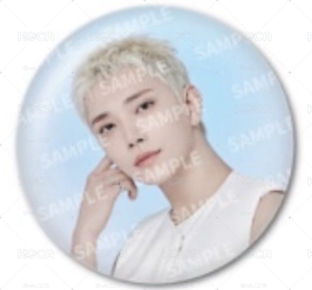seventeen home/holiday/new/cafe 徽章們