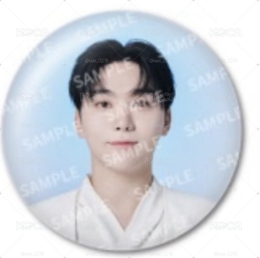 seventeen home/holiday/new/cafe 徽章們