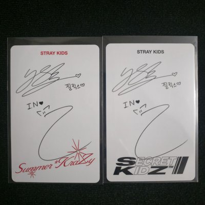 Stray Kids DICON N°21 A版 雜誌卡🐥🦊菲寅