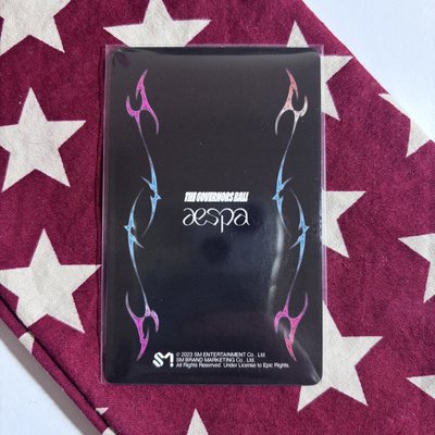 Govball 音樂節隨機卡 冬 ⋆.˚⊹⁺