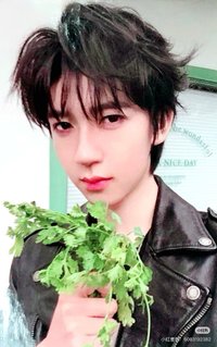 26‘台曆 周邊卡 賀峻霖 普卡