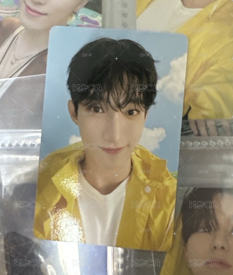MINI11 專輯卡 CARAT ver.