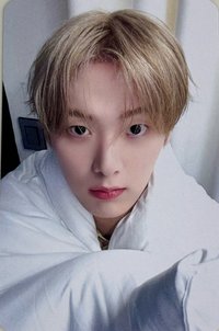 Chameleon ms 幸運卡 