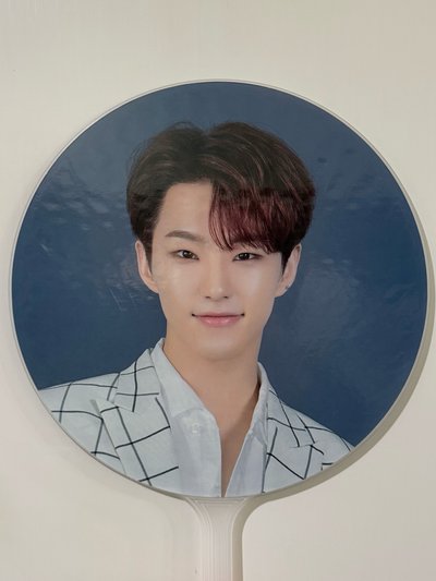 2019 ode to you扇子