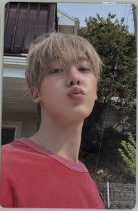 Chameleon 專輯卡 External ver.