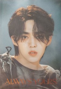 萬代聯名 周邊卡 威化餅乾卡