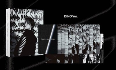 SEVENTEEN 正規五 克拉盤 空專 李碩珉 李燦 DK DINO