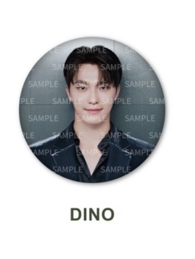 SEVEVTEEN RIGHT HERE JAPAN 徽章 李燦