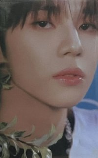 日本出道專 塔店 特典卡 