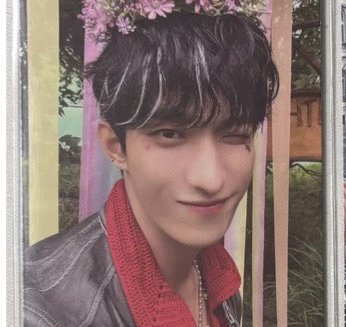 碩集章卡+花環碩