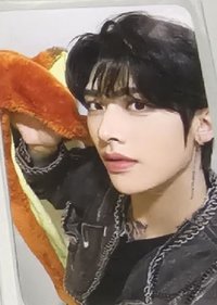 正規一 wm 簽售卡 動物方程式 ver.