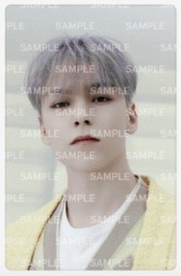 FOLLOW 周邊卡 透卡