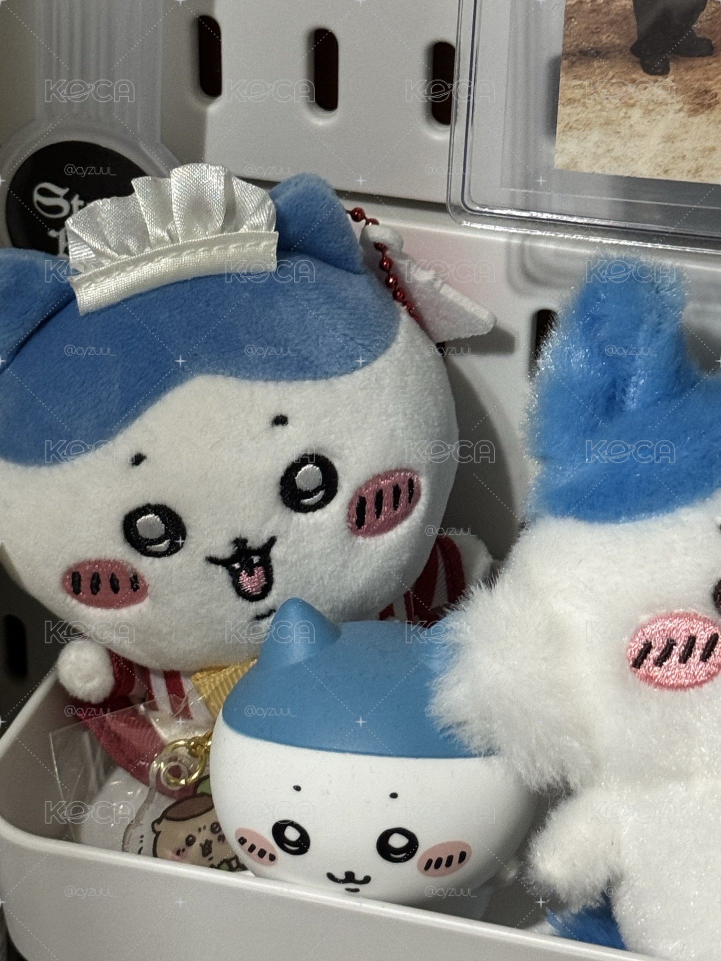 餐廳小八