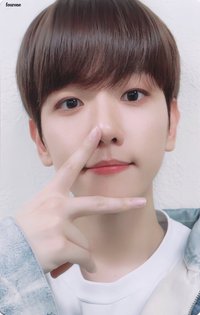 特萊奇 A set 隨機卡 