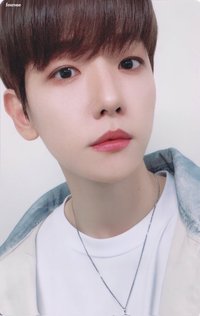 特萊奇 A set 隨機卡 