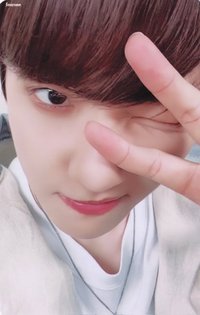 特萊奇 B set 隨機卡 